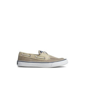 Beige Sperry Bahama II Sneaker | 6704-BWPTN