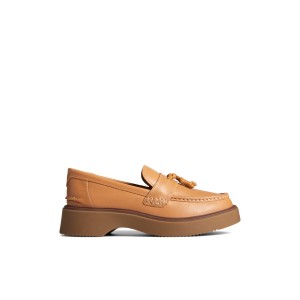 Beige Sperry Bayside Loafer | 7586-SKEDJ