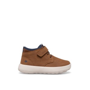 Beige Sperry Coastal Break Chukka | 9638-VIGZU