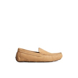 Beige Sperry Davenport Nubuck Venetian Driver | 9047-CGNID