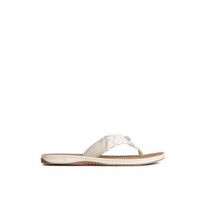 Beige Sperry Parrotfish Braid Sandal | 1582-WZBHK