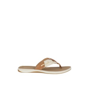 Beige Sperry Parrotfish Braid Sandal | 4795-DBFVO