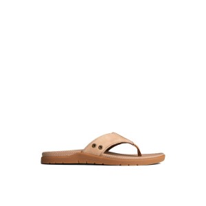 Beige Sperry Santa Cruz II Thong Sandal | 1765-TMKSZ