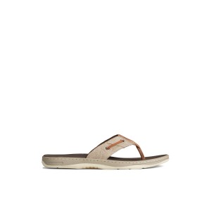 Beige Sperry SeaCycled Baitfish Baja Flip Flop | 2781-LVXJH