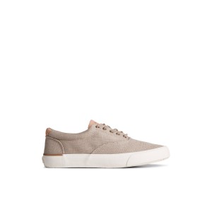 Beige Sperry SeaCycled Striper II CVO Baja Sneaker | 8971-IVWOB