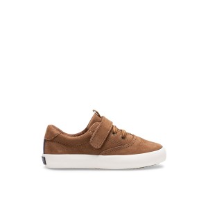 Beige Sperry Spinnaker Junior Washable Sneaker | 6380-PWTEH