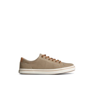 Beige Sperry Striper II Linen LTT Sneaker | 2593-NJOSA