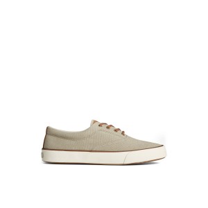 Beige Sperry Striper II Washed Canvas CVO Sneaker | 1850-JOAIE