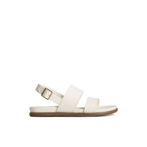 Beige Sperry Waveside PLUSHWAVE Backstrap Sandal | 0491-UFBKM