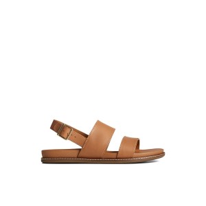 Beige Sperry Waveside PLUSHWAVE Backstrap Sandal | 9281-YMDOJ