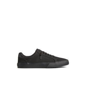 Black Sperry Bermuda Sneaker | 4853-FBDSL