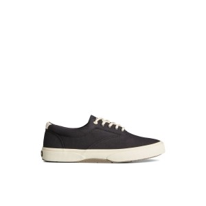 Black Sperry Halyard CVO Sneaker | 9451-OJCMB