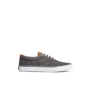 Black Sperry Striper II CVO Sneaker | 2179-TDYKR