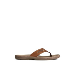 Brown Sperry Baitfish Leather Flip Flop | 9012-FZNBI