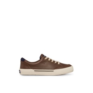 Brown Sperry Harbor Tide Sneaker | 0867-FNGRE