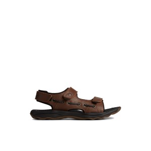 Brown Sperry Rivington Sandal | 1620-CKPAL