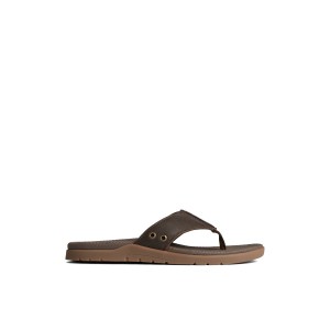 Brown Sperry Santa Cruz II Thong Sandal | 2840-WAMQT