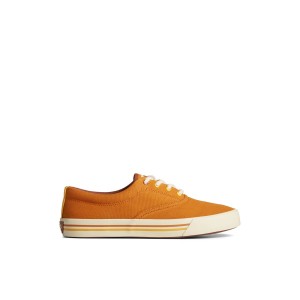 Brown Sperry SeaCycled Striper II CVO Sneaker | 2675-HAPRG