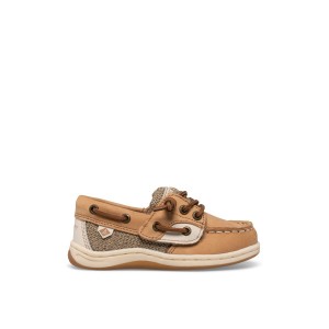 Brown Sperry Songfish Junior Boat Shoe | 8962-EFUBO