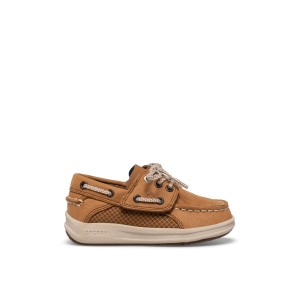 Dark Beige Sperry Gamefish Junior Boat Shoe | 8574-PUZMQ