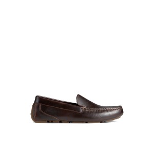 Dark Brown Sperry Davenport Venetian Driver | 5043-XJWVU