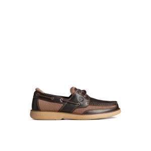 Dark Brown Sperry Surveyor 2-Eye Boat Shoe | 8241-VNKAB