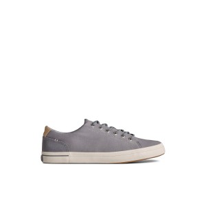 Grey Sperry SeaCycled Striper II Textile Sneaker | 8012-NCGSY