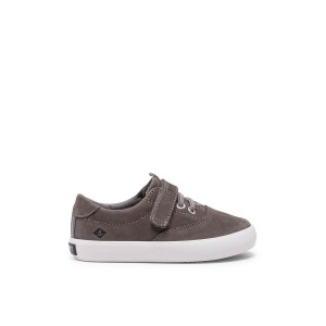 Grey Sperry Spinnaker Junior Washable Sneaker | 4503-ZXJIQ