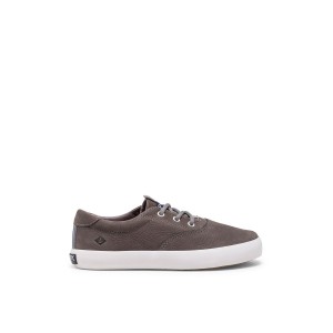 Grey Sperry Spinnaker Washable Sneaker | 6521-SUHFJ