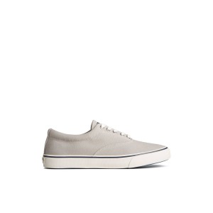 Grey Sperry Striper II Canvas CVO Sneaker | 3816-IOHGD