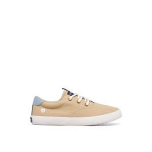 Khaki Sperry Spinnaker Washable Sneaker | 0278-HMUYX