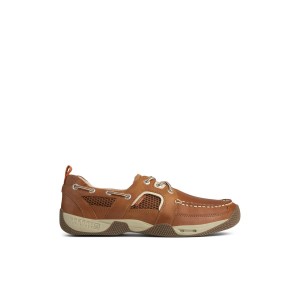 Light Brown Sperry Sea Kite Sport Moc Boat Shoe | 9318-IKCBA