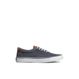 Navy Sperry Striper II CVO Sneaker | 6519-BFVMJ