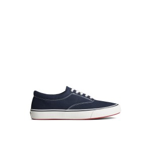 Navy Sperry Striper II Canvas CVO Sneaker | 2681-HFJPT