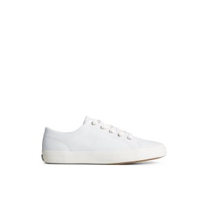 White Sperry Striper II LTT Leather Sneaker | 9143-WSAVQ