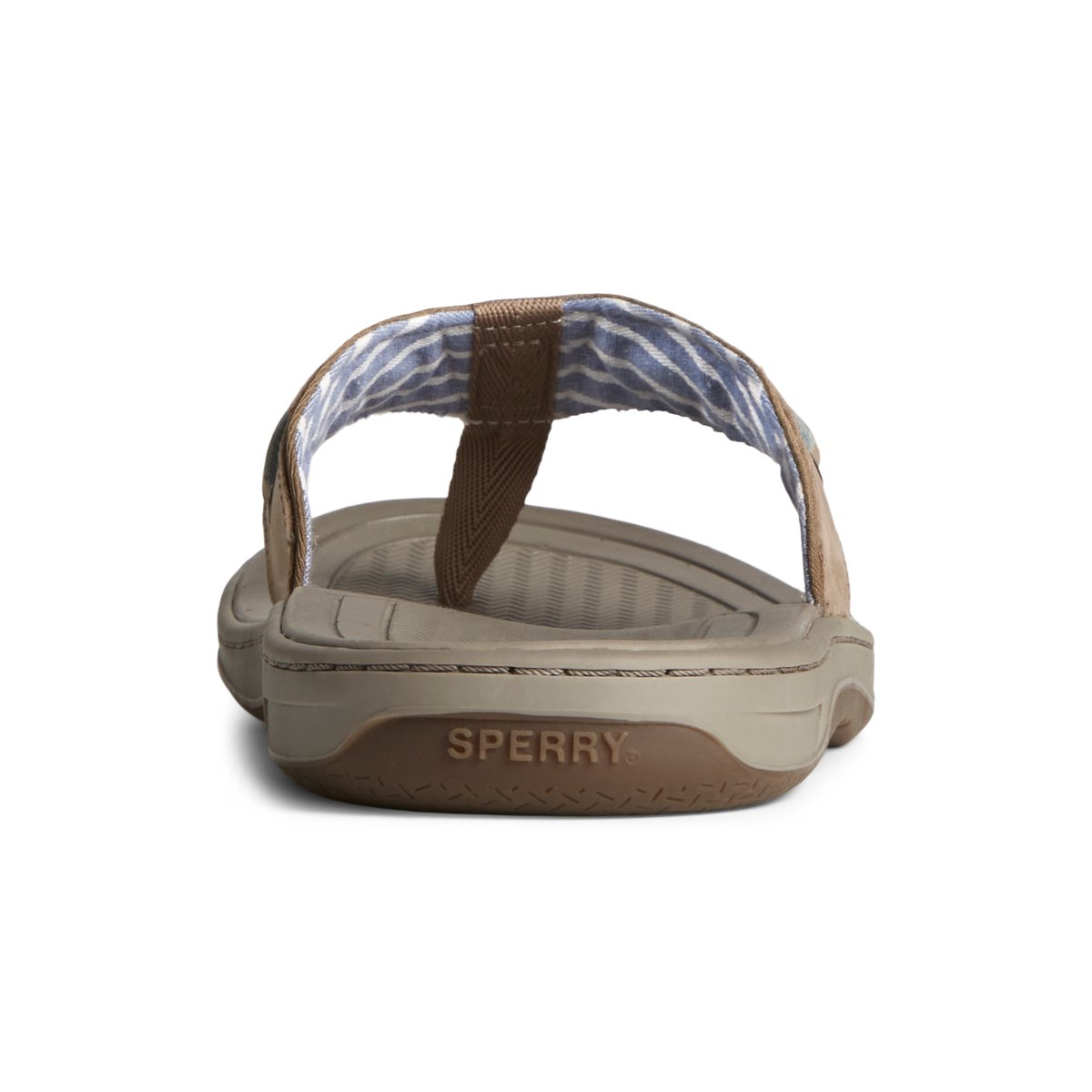 Beige Sperry Baitfish Leather Flip Flop | 1947-DIOMX