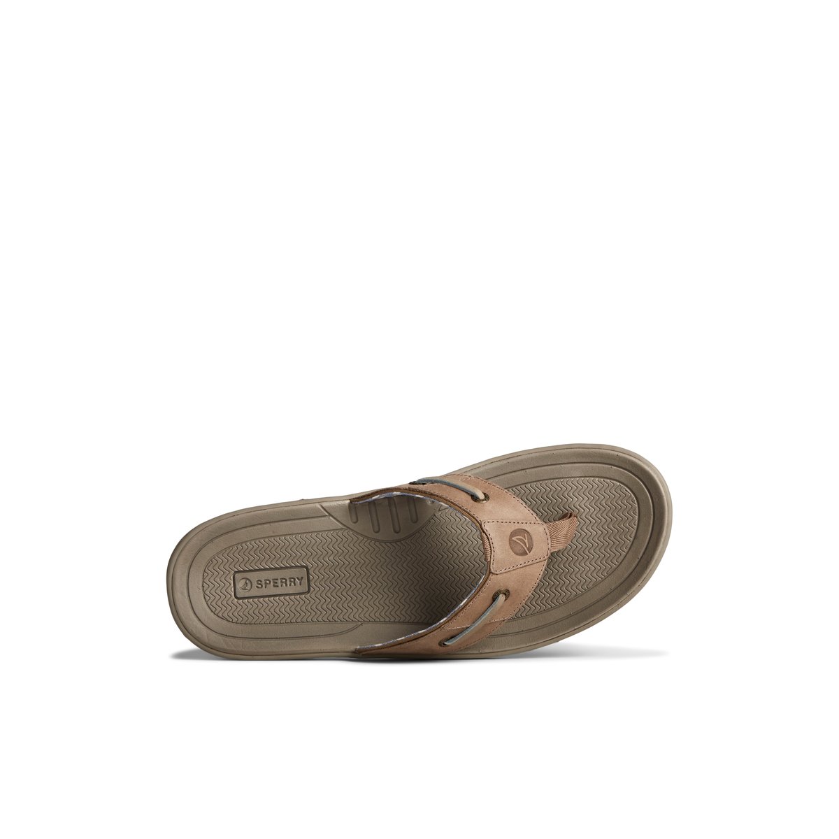 Beige Sperry Baitfish Leather Flip Flop | 1947-DIOMX