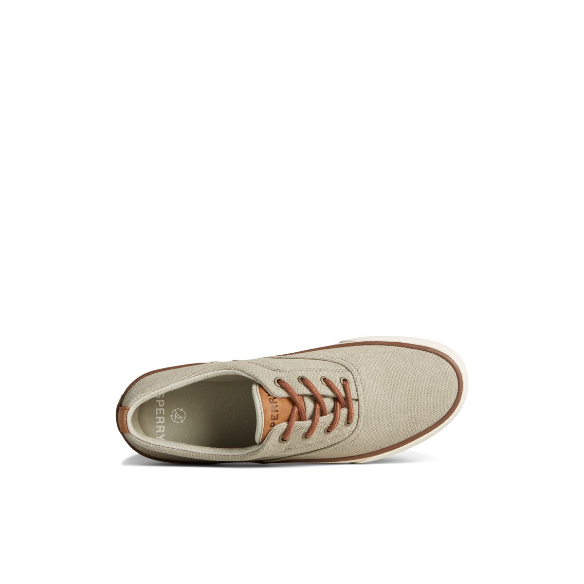 Beige Sperry Striper II Washed Canvas CVO Sneaker | 1850-JOAIE