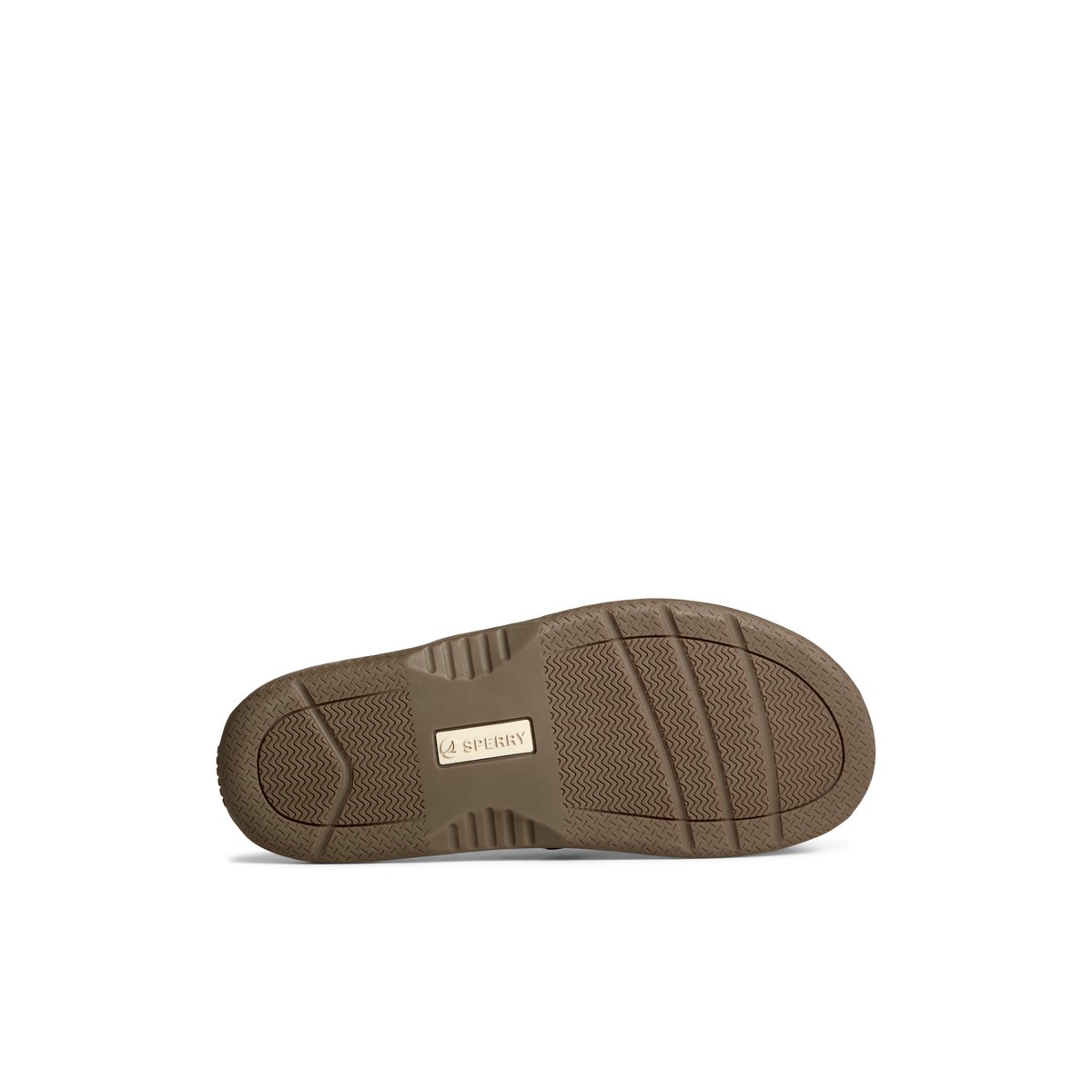 Brown Sperry Baitfish Leather Flip Flop | 9012-FZNBI