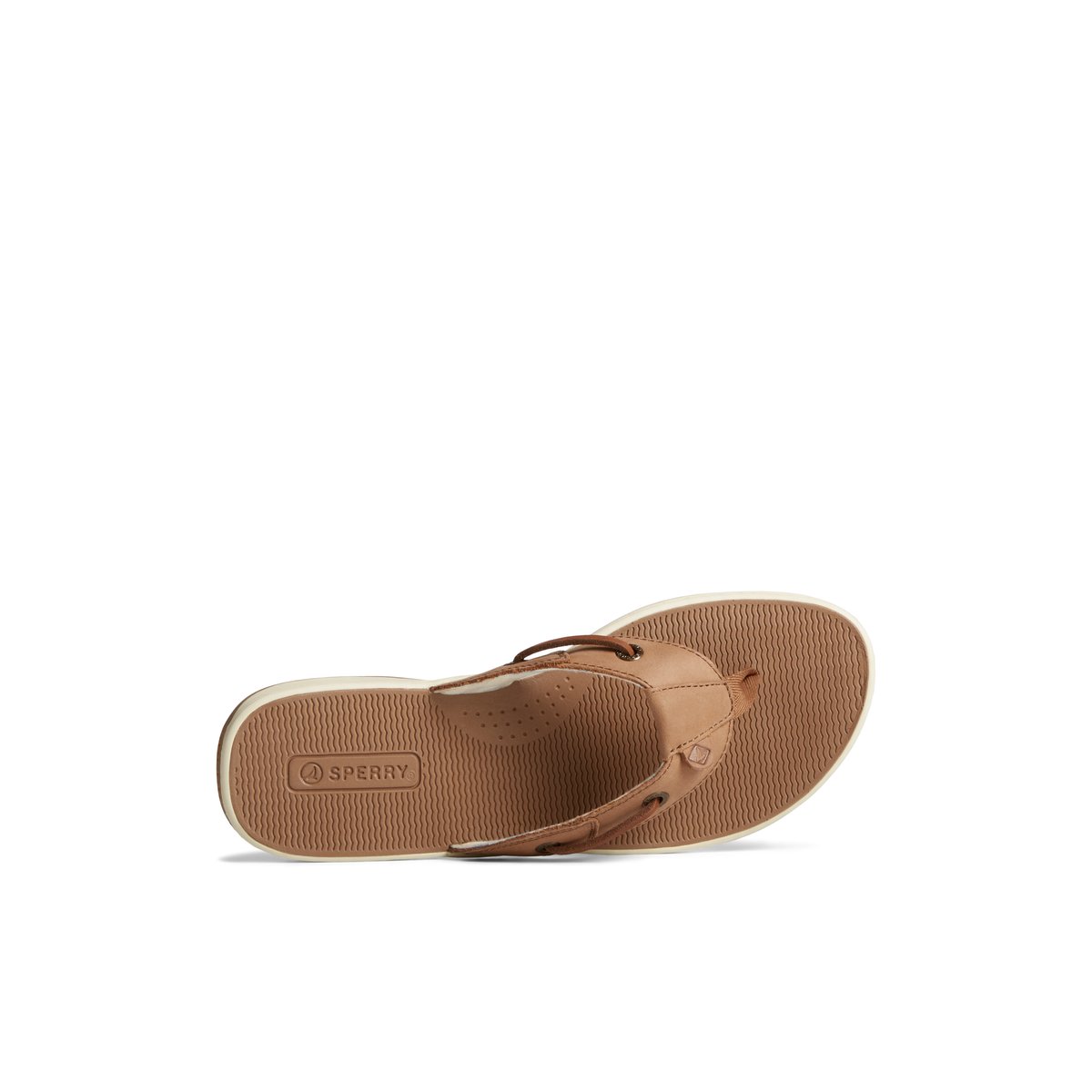 Dark Beige Sperry Seafish Leather Flip Flop | 3408-UFZIP