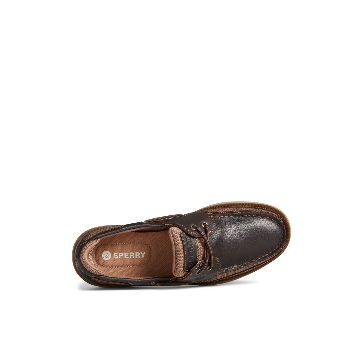 Dark Brown Sperry Surveyor 2-Eye Boat Shoe | 8241-VNKAB